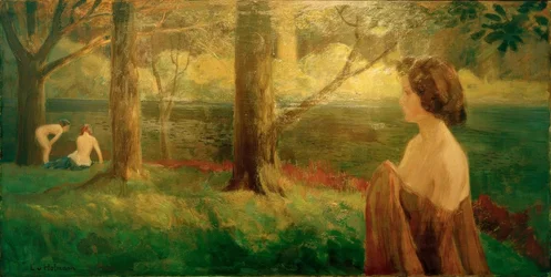 Evening Sun