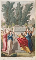 Heliades into Trees that Yield Amber or Le Sorrelle die Fetonte Cangiate in Pioppi, Illustration from Ovid