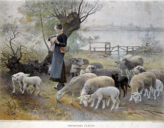 First Flowers: A shepherdess surrounded by her sheep stings flowers in her hat