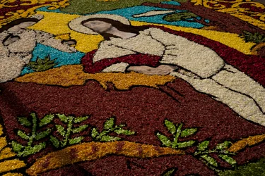 Holy Week Surco Flower Carpet, Lima, Peru, 2015