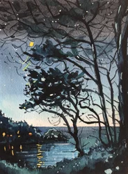 Magical Night Reflections