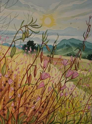 Pink Field Sunrise