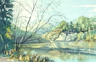 Serene Lakeside Reflections