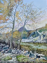 Tranquil Autumn River