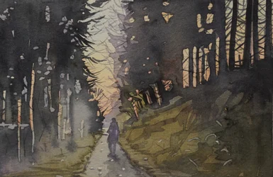 Twilight Forest Walk