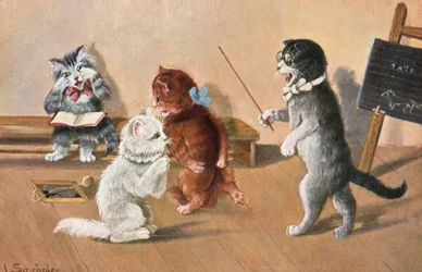 Humorous Cat Postcard