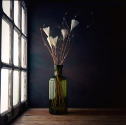 Window Light Still Life