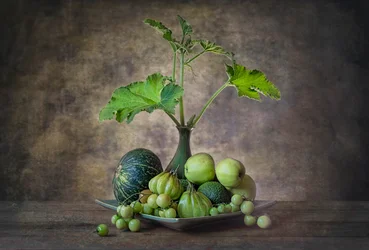 Abundant Green Still Life