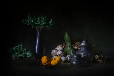 Dark Harvest Still Life