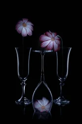 Delicate Blooms Glass Flutes