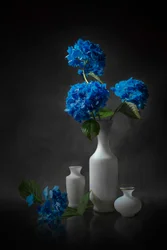 Elegant Blue Hydrangeas