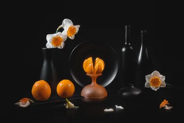 Elegant Citrus Still Life