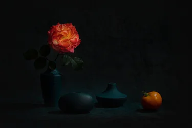 Glowing Orange Rose