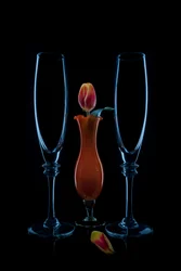 Intimate Tulip Flutes