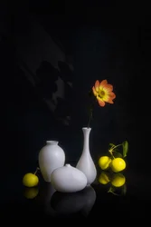 Moody Flower and Fruit