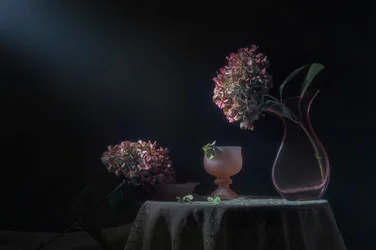 Moody Hydrangea Still Life