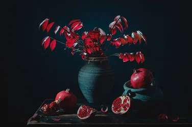 Moody Red Pomegranate Still Life