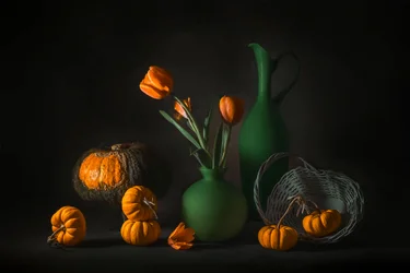 Orange Green Autumn Harvest