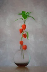 Orange Lanterns Vase