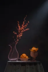 Oranges and Berries Still Life