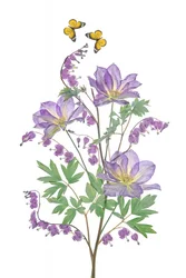 Purple Blooms and Butterflies