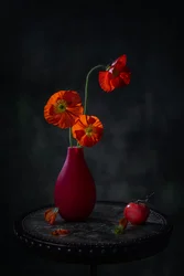 Red Poppies - Dark Still Life