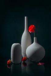 Red Poppy and White Vases