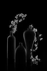 Serene Floral Arrangement