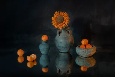 Vibrant Sunflower, Mandarins
