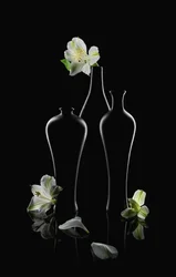 White Flowers Dark Vases