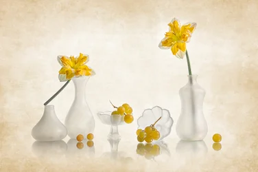 Yellow Daffodils and Grapes