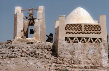 In desert, an oasis watering place with a well at Husn Al-Muttahar south of Tarin, Yemen