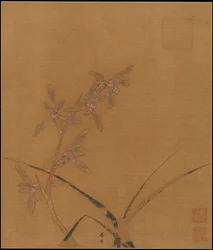 Orchids