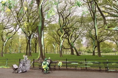 Central Park, 2019