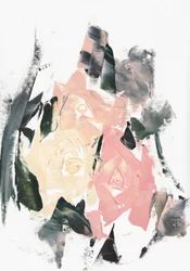 Abstract Blush Roses