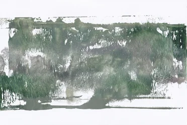 Abstract Forest Wash