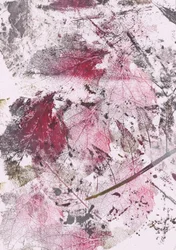Crimson Leaf Impressions