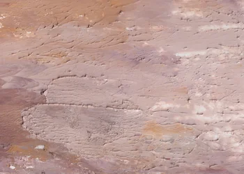 Dry Earth Textures