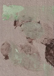 Earthy Abstract Forms