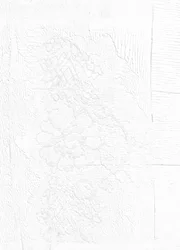 Embossed Floral Lace Pattern