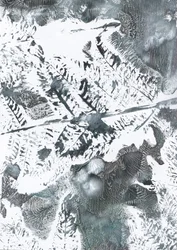Ethereal Winter Foliage