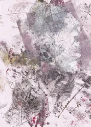 Faded Botanical Prints