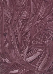 Flowing Plum Strokes
