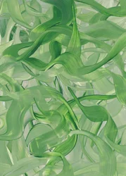 Fluid Green Swirls