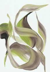Graceful Organic Flow