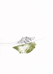 Green Leaf Bare Branches