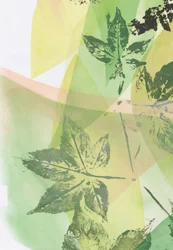 Green Leaf Overlays