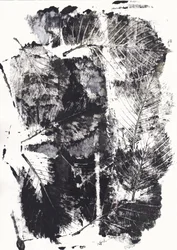 Monochrome Botanical Impressions