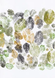 Organic Leaf Imprints