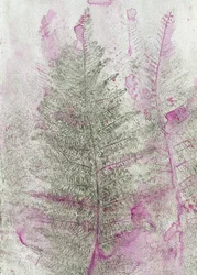 Pink Fern Impressions